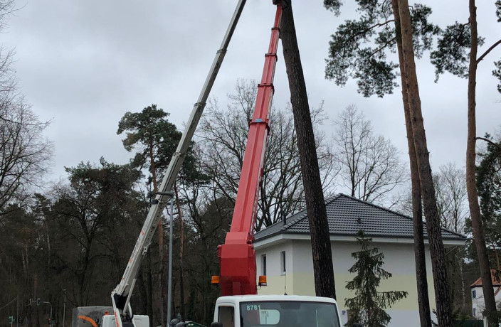 Beispielarbeit von Konstantin Wilde - Baumpflege - veröffentlicht auf Gartenbau.org